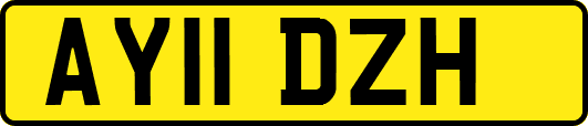 AY11DZH