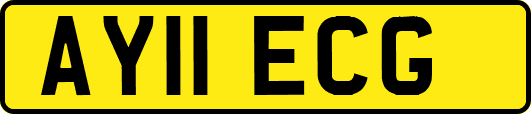 AY11ECG