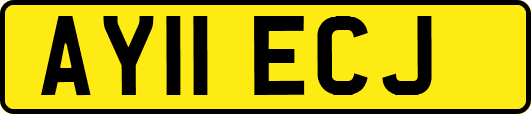 AY11ECJ