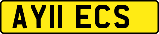 AY11ECS