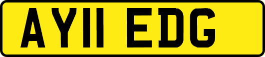 AY11EDG