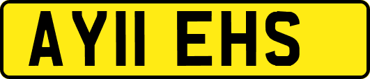 AY11EHS