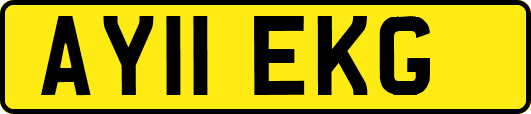 AY11EKG
