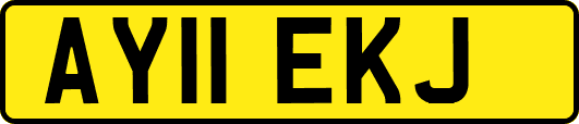 AY11EKJ