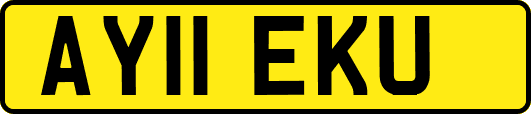 AY11EKU
