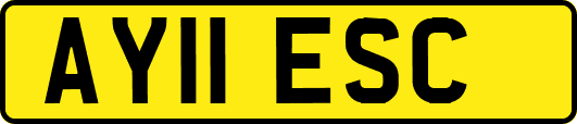 AY11ESC