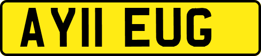 AY11EUG