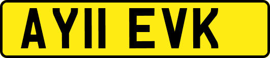 AY11EVK