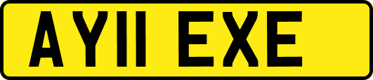 AY11EXE