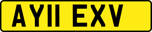 AY11EXV