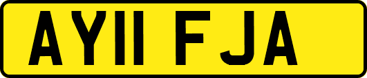 AY11FJA