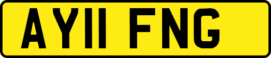 AY11FNG