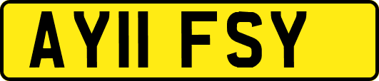 AY11FSY
