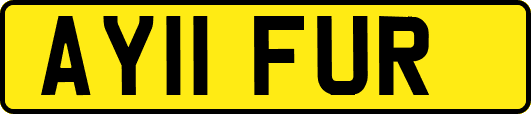 AY11FUR