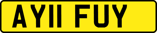 AY11FUY