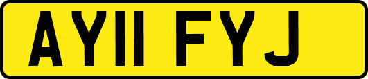 AY11FYJ