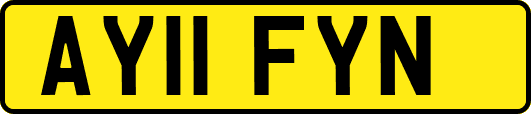 AY11FYN