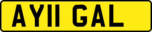 AY11GAL