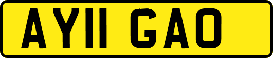 AY11GAO