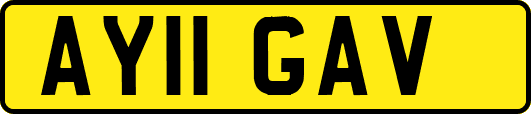 AY11GAV