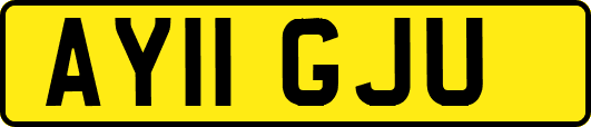 AY11GJU