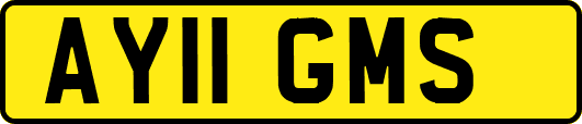 AY11GMS