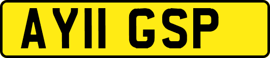 AY11GSP