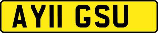 AY11GSU