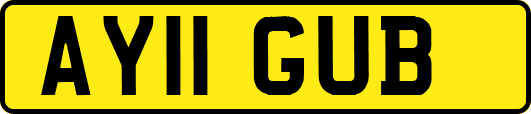 AY11GUB