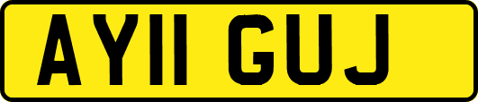 AY11GUJ