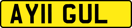 AY11GUL