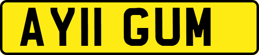 AY11GUM