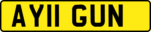 AY11GUN