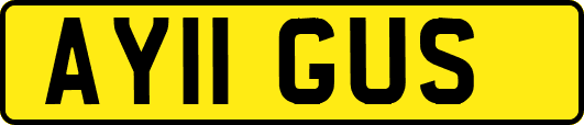 AY11GUS