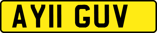 AY11GUV