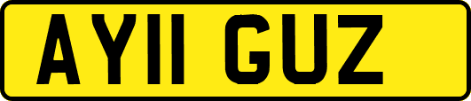 AY11GUZ