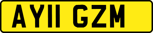 AY11GZM