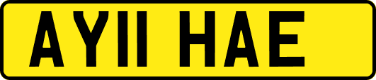 AY11HAE