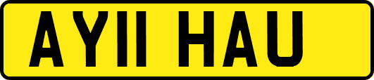 AY11HAU