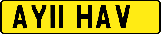 AY11HAV