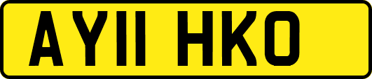 AY11HKO