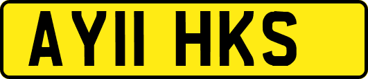 AY11HKS