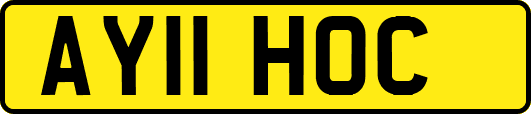 AY11HOC