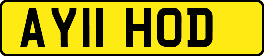 AY11HOD