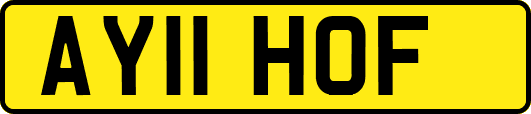 AY11HOF