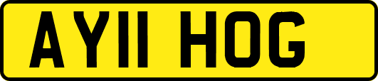 AY11HOG