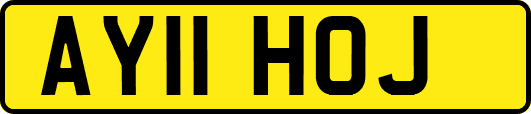 AY11HOJ