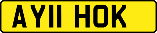 AY11HOK