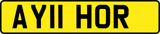 AY11HOR