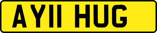 AY11HUG